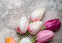 Evo kako da vam cveće duže traje: Influenserka oduževila dame širom sveta jednostavnim trikom