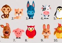 Kakav utisak ostavljate na ljude? -OTKRITE ZA 20 SEKUNDI