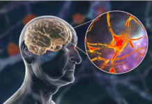 Hrani mozak i čuva pamćenje, JEDITE JE JEDNOM SEDMIČNO – NAJBOLJA NAMIRNICA PROTIV DEMENCIJE, MNOGI JE RIJETKO KAD JEDU!