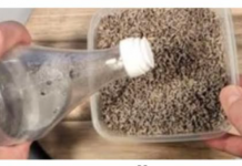 NEMOJTE ČEKATI! Pomiješajte ocat i lavandu i bit ćete mi zauvijek zahvalni