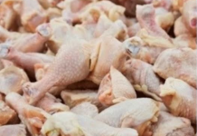 Koliko dugo piletina smije da stoji u frižideru, a koliko u zamrzivaču? Odgovor će vas iznenaditi