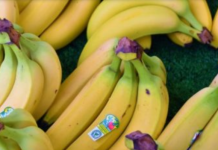 Ako imate neko od ovih oboljenja nipošto nemojte da jedete banane, možete samo pogoršati stanje