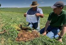 Ljudi širom sveta donji veš zakopavaju u bašte, a iza ovoga se krije savršeno dobar razlog