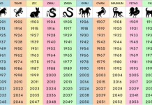 NIJE NI ČUDO ŠTO JE NAJTAČNIJI: Saznajte šta ste u kineskom horoskopu i šta vam poručuje