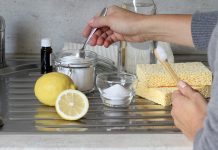 Umrla bih,a ne bih znala: Stavite SO na limun i nikad nećete imati ovaj problem!