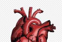 Ako imate 0VIH 6 simptoma 0gromne su šanse da imate SRČANI UDAR u narednih mjesec dana!