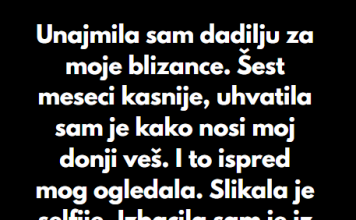 “Unajmila sam dadilju za moje blizance…”