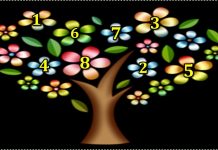 DRVO ŽELJA! ZAMISLITE JEDNU ŽELJU I IZABERITE 1 BROJ SA DRVETA: Evo da li će vam se želja ostvariti