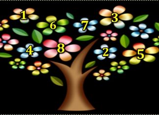 DRVO ŽELJA! ZAMISLITE JEDNU ŽELJU I IZABERITE 1 BROJ SA DRVETA: Evo da li će vam se želja ostvariti