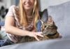Mačka je pravi lek za čoveka: 7 bolesti koje samo ona može da izleči