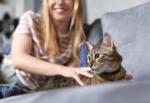 Mačka je pravi lek za čoveka: 7 bolesti koje samo ona može da izleči