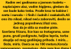 “Radim u javnom WC-u – svašta sam videla, ali ovu ženu nikad neću zaboraviti!”