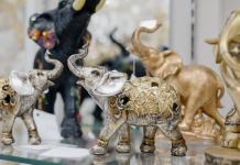 Veruje se da ovih 7 predmeta imaju veliku moć i da svaka kuća treba da ih ima: Privlače novac i obilje poput magneta