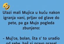 VIC DANA: Mali Mujica