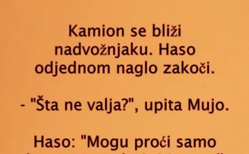 VIC DANA: Kamiondžije