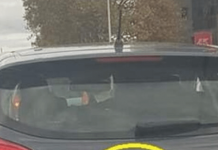 Jedan čovek je samo dodao 2 slova uz marku svog auta i nasmejao ceo Balkan do suza (foto)