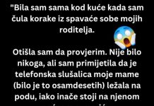 “Bila sam sama kod kuće kada samčula korake iz spavaće sobe…”