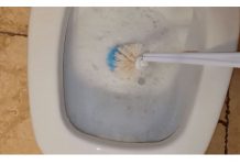 Sipajte u toalet i sačekajte 15 minuta: Domaći trik koji bi SVI trebali znati