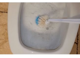 Sipajte u toalet i sačekajte 15 minuta: Domaći trik koji bi SVI trebali znati