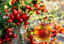 Kako da bustujete imunitet u jesen? 6 namirnica je dar iz prirode, a dve stižu pravo iz šume