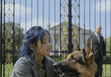 Pas se nije micao danima – a kada su videli šta je unutra nisu mogli da veruju