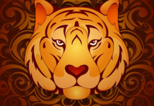 Kineski horoskop za oktobar 2025: Za 1 znak ovo je najbolji mesec u godini, imaće prelepe životne promene