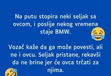VIC DANA: Na putu stopira neki seljak