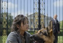 Niko nije mogao da priđe psu osim nje — a kad je rekla šta želi, čovek je zaplakao