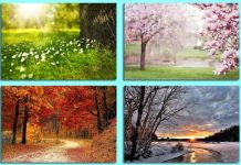 GODIŠNJE DOBA U KOJEM STE ROĐENI određuje vaš karakter ali i SUDBINU, uvjerite se i sami