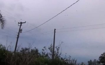 Mislio je da snima jato ptica na nebu, ali kada je zumirao kameru umalo je dobio infarkt (VIDEO)