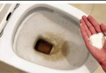 Zaboravite OCAT: Ovaj puder iz kuhinje čisti toalet za par minuta – bez kamenca, žutih mrlja i mirisa!
