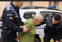 Nevina prodaja na uglu ulice — priča koja je otkrila skrivenu istinu