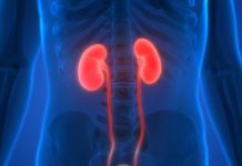 KAD SA BUBREZIMA NIJE SVE U REDU, TIJELO ŠALJE OVE SIGNALE: 6 SIMPTOMA KOJE NE SMIJETE IGNORISATI!