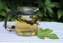 Ljekovita svojstva lista kojeg mnogi imaju u vrtu: Ovaj podcijenjen mediteranski dragulj liječi puno toga, a vi ga bacate