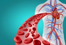 OVU KRVNU GRUPU IMAJU LJUDI KOJI ŽIVE NAJDUŽE: ONI SU OTPORNIJI NA RAK, DIJABETES I MENTALNA OBOLJENJA – KOJU KRVNU GRUPU VI IMATE?