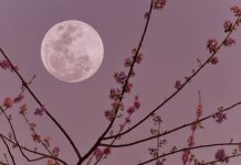 Stiže pun Mjesec u Biku: Za 4 horoskopska znaka život se mijenja 5. novembra