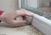 Kako da zaustavite kondenzaciju na prozorima zimi? Stolar otkrio najjednostavnije rešenje