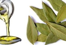 Otkrijte čaroliju lovorovog ulja: Kako priroda može očistiti vaša pluća za samo tri dana