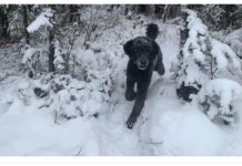 ŠTA STE PRVO VIDELI??? Precizan test ličnosti razotkriće vas za sekund: Sve što ste vešto krili izlazi na videlo