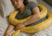 Domaći piton je prestao da jede i počeo da se čudno ponaša prema vlasnici — tokom posete veterinar je rekao nešto što nije očekivala.