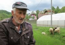 Žena iz Konjević Polja bacila svoju decu, da bi mogla da se preuda: Nakon par godina sina je srela ispred prodavnice i šokirala ga reakcijom