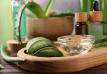 Kako da uzmete gel iz lista aloje bez oštećenja biljke: Nemojte pogrešno seći, ovaj trik znaju samo iskusni