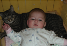 Mislili su da je mačka ljubomorna i luda: Jedne noći, skočila je na krevetac, a oni su shvatili da im spasava život deteta.