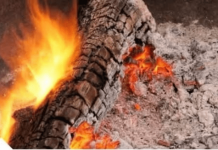 NE BACAJTE PEPE0 0D L0ŽENJA: PRAVO JE BLAG0, A KADA VIDITE ZAŠT0 KORISTIĆETE GA D0K STE ŽIVI