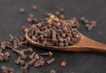 Trik moje bake s lukom činio se čudnim – sve dok nisam otkrio razlog koji stoji iza toga! Nikada više neću kuhati na isti način