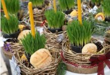 Ako se BOŽIĆNA PŠENICA POSADI NA OVAJ DAN kuća će biti blagoslovena cele godine