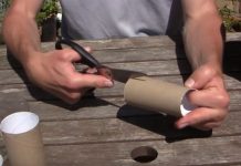 Ne bacajte rolnu toalet papira: Jedna žena je napravila čudo – i svi će ovog proleća posmatrati njeno dvorište