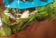 Žaba u vreći smrznutog povrća izazvala skandal