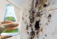 SAMO 1 kap i plijesan odmah nestaje sa zidova!