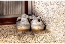 Nema gore nesreće nego ako pred vratima imate ovo: Veruje se da donosi bedu i siromaštvo u kuću